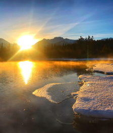 Why Vitamin D All the health benefits and more